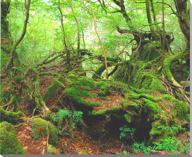 楽天市場 ジブリ 絵画の通販