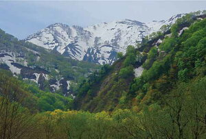 |XgJ[h R`  01 i ʐ^ G͂ t 莆  A O[eBOJ[h Mtg j v[g ̎vo PST-107