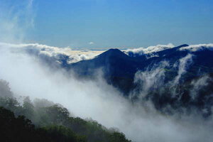 |XgJ[h kC 芥 g} _C NX}XJ[h G߂̕ւ ͂ t O[eBOJ[h bZ[WJ[h  A PST-138