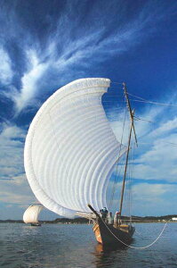 |XgJ[h  Y D i ʐ^ Mtg Gt G͂ |XgJ[h O[eBOJ[h j v[g 莆 ̎vo PST-145