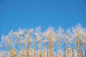 |XgJ[h AXJEtFAoNX X̔ i ʐ^ G͂ t 莆  A O[eBOJ[h bZ[W Mtg j v[g ̎vo PST-150