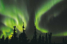 ポストカード アラスカ フェアバンクス オーロラ PST-155 神秘的 ベール 幻想的 宇宙 はがき 葉書 グリーティングカード 季節の便り 挨拶状 礼状 旅の思い出