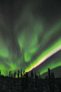 |XgJ[h AXJ tFAoNX I[ F̐_ zI iF ʐ^ CeA ANZg   I  hA ͂ t ւ Gߕւ  A A O[eBOJ[