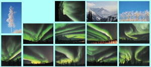 |XgJ[h AXJ tFAoNX I[ 13Zbg  F̐_ zI iF ʐ^ CeA ANZg   I  hA ͂ t ւ Gߕւ  A 