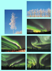 |XgJ[h I[ʐ^ 01 AXJ tFAoNX 7Zbg  _I zI NX}XJ[h N O[eBOJ[h  A bZ[WJ[h v[g 