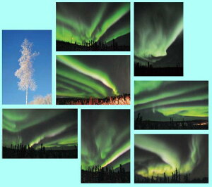 |XgJ[h I[ʐ^ 02 AXJ tFAoNX 8Zbg  _I zI NX}XJ[h N O[eBOJ[h  A bZ[WJ[h v[g 