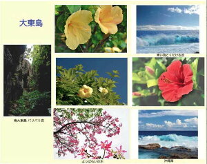 |XgJ[h  k哌̊C 7Zbg  iʐ^ O[eBOJ[h ւ G͂ ͂ t  c O[eBOJ[h bZ[WJ[h 