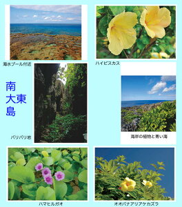 |XgJ[h  哌̊C 6Zbg  iʐ^ t GnKL   c bZ[WJ[h O[eBOJ[h  A A Ǐ CeA 