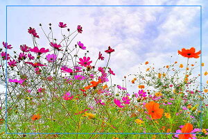 iʐ^pl s yD b艮 zƃRXX 03 LoXn ʉ摜 CeA A[gpl EH[fR pl ʐ^ zv炸 Ǌ| Ǐ ͗lւ ͋C  