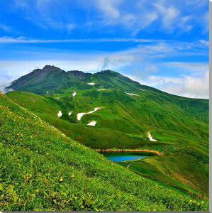 iʐ^pl R` CRƒC A[gpl CeA pl ʐ^ fBXvC EH[fR v[g Mtg i ԗ j  Vz z a LO Nj 