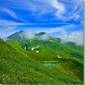 iʐ^pl R` CRƒC jbRELXQ {^jJ A[gpl CeA OtBbN v[g Mtg i ԗ j  Vz z a w  l 