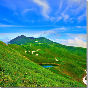 iʐ^pl R` CRƒC CeA A[gpl pl ʐ^ fBXvC EH[fR v[g Mtg i ԗ j  Vz z a LO Nj 