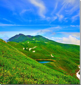 iʐ^pl R` CRƒC EH[fR CeA ͗lւ ͋C胊rO ItBX v[g Mtg i ԗ j  Vz z a LO yam-071-9080