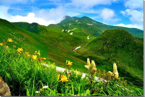 iʐ^pl R` CR jbRELXQ RoPC\E {^jJ v[g Mtg i ԗ j  Vz z a LO Nj OtBbN CeA Ǌ| I