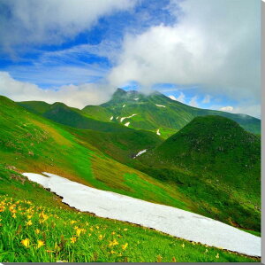 iʐ^pl R` CR jbRELXQ {^jJ A[gpl CeA OtBbN pl ʐ^ v[g Mtg i ԗ j  Vz z a w  