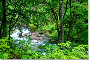 iʐ^pl R`  A[gpl CeA EH[fR fBXvC OtBbN pl ʐ^ v[g Mtg j  Vz z a w  l Nj 