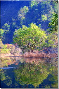 iʐ^pl R`  CeA A[gpl pl ʐ^ Ǐ Ǌ| zv炸 ͗lւ ͋C ̎vo   rO ItBX r[ v[g Mtg j 