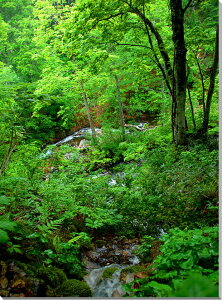 iʐ^pl R`  CeA A[gpl pl ʐ^ Ǐ Ǌ| zv炸 ͗lւ ͋C ̎vo   rO ItBX r[ v[g Mtg j 