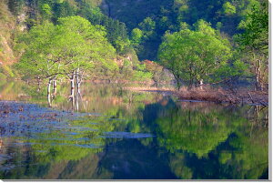 iʐ^pl R`  A[gpl CeA pl ʐ^ v[g Mtg j  Vz z a w  l Nj LO Ǐ Ǌ| zv炸 ͗lւ 