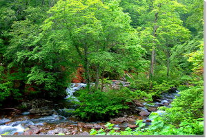 iʐ^pl R`  A[gpl CeA EH[fR fBXvC OtBbN pl ʐ^ v[g Mtg j  Vz z a w  l Nj 