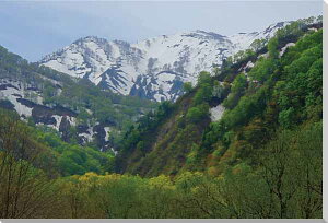 iʐ^pl R`  1 CeA A[gpl EH[fR fBXvC pl ʐ^ Ǐ Ǌ| zv炸 ͗lւ ͋C ̎vo   rO ItBX r