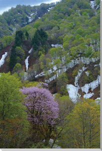 iʐ^pl R`  3 R }UN q[O   A[gpl CeA EH[fR fBXvC pl ʐ^ v[g Mtg j j Vzj 