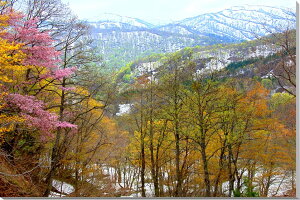 iʐ^pl R` R R CeA A[gpl pl ʐ^ Ǌ| Ǐ zv炸 ͗lւ ͋C  ₵ ̎vo rO ItBX  v[g Mtg  