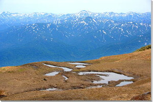 iʐ^pl R` R CeA A[gpl pl ʐ^ Ǌ| Ǐ zv炸 ͗lւ ͋C  ₵ ̎vo rO ItBX  v[g Mtg i 