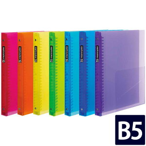 yz t@Cm[g ZvgN[ B5 vX`bNoC_[ Ch F300B }} [zւ̂]