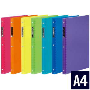 yz t@Cm[g ZvgN[ A4 vX`bNoC_[ X F481B }} [zւ̂]