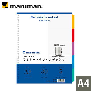 yz ~l[g^uCfbNX A4Ch 30 5R 5 LT3005 }} [zւ̂]