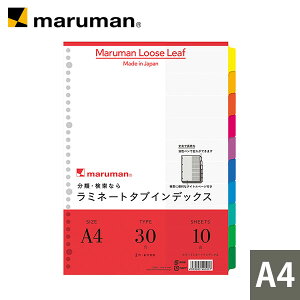 yz ~l[g^uCfbNX A4p 30 10R LT4010 }} [zւ̂]