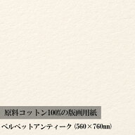 【公式】 版画 用紙 サマセット ベルベット アンティーク 560×760mm 5182501601CBM マルマン 【宅配便の…