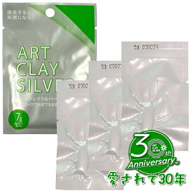 銀粘土 アートクレイシルバー22gパック （7g+5g+5g+5g）純銀粘土 手作り シルバー アクセサリー クレイ シルバークラフト 銀細工 手づくり ジュエリー