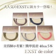期間限定【新カラー登場】EXST de color 長さリニューアル！カラーエクステ 髪 メッシュ エクステ つけ毛…
