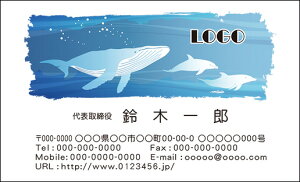 【送料無料】カラーデザイン名刺 ショップカード 印刷 作成【100枚】ロゴ入れ可 海 くじら animal016