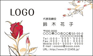 yzJ[fUCh@VbvJ[h@@쐬y100zS@ԁ@o@GKg@elegant008