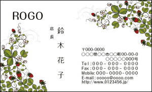 yzJ[fUCh@VbvJ[h@@쐬y100zS@ԁ@@䕁@i`@@pretty002