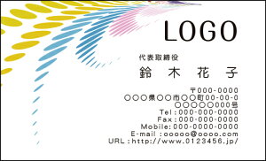 yzJ[fUCh@VbvJ[h@@쐬y100zS@Vv@􉽊w͗l@simple004