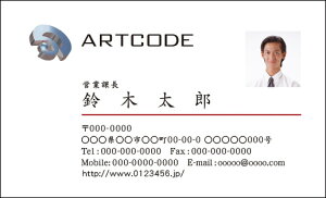 yzJ[rWlXh@@쐬y100zS@VvȃrWlXh@business012