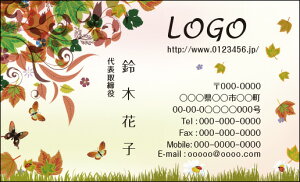 yzJ[fUCh@VbvJ[h@@쐬y100zS@@t@o^tC@season010