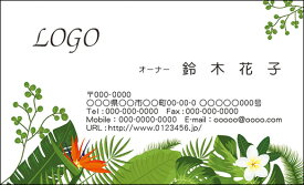 【送料無料】カラーデザイン名刺　ショップカード　印刷　作成【100枚】ロゴ入れ可　グリーン　自然　green003