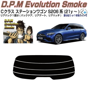 Âݍi xcCNX Xe[VS S206n(21y`)PiJbgς݃J[tB