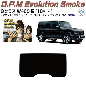 Âݍi xcGNX W463n(18y`)PiJbgς݃J[tB