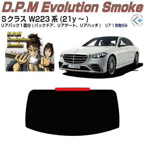 Âݍi xcSNX W223n(21y`)V[g/OPiJbgς݃J[tB