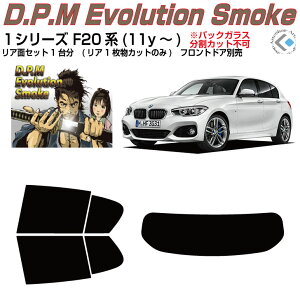 i BMW-1V[Y F20n(11y`)Jbgς݃J[tB AZbg