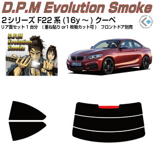 i BMW-2V[Y F22n(16y`)N[yJbgς݃J[tB AZbg