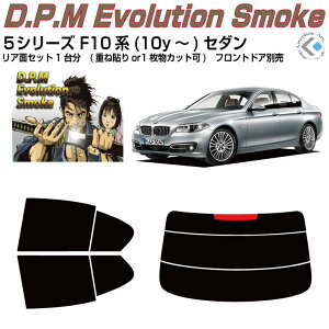 i BMW-5V[Y F10n(10y`)Z_Jbgς݃J[tB AZbg