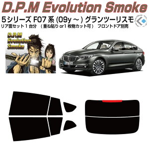 i BMW-5V[Y F07n(09y`)Oc[XJbgς݃J[tB AZbg