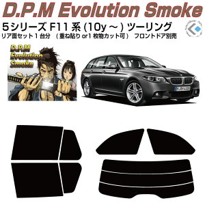 i BMW-5V[Y F11n(10y`)c[OJbgς݃J[tB AZbg